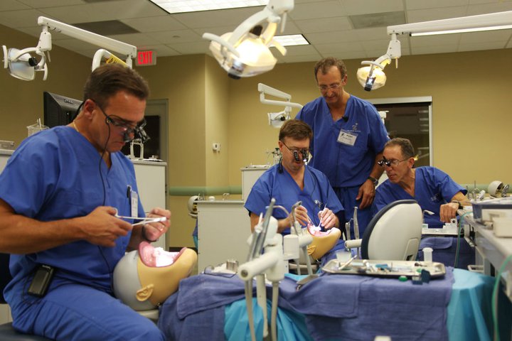 Dental professionals practicing implant techniques during hands-on simulation training